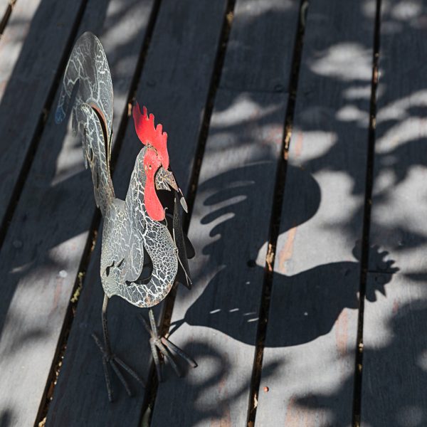 brendanrowlands-cockrel-chicken-shadow